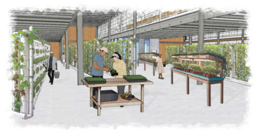 Interior<br><i>Rendering by Watts Architects & Engineers</i>