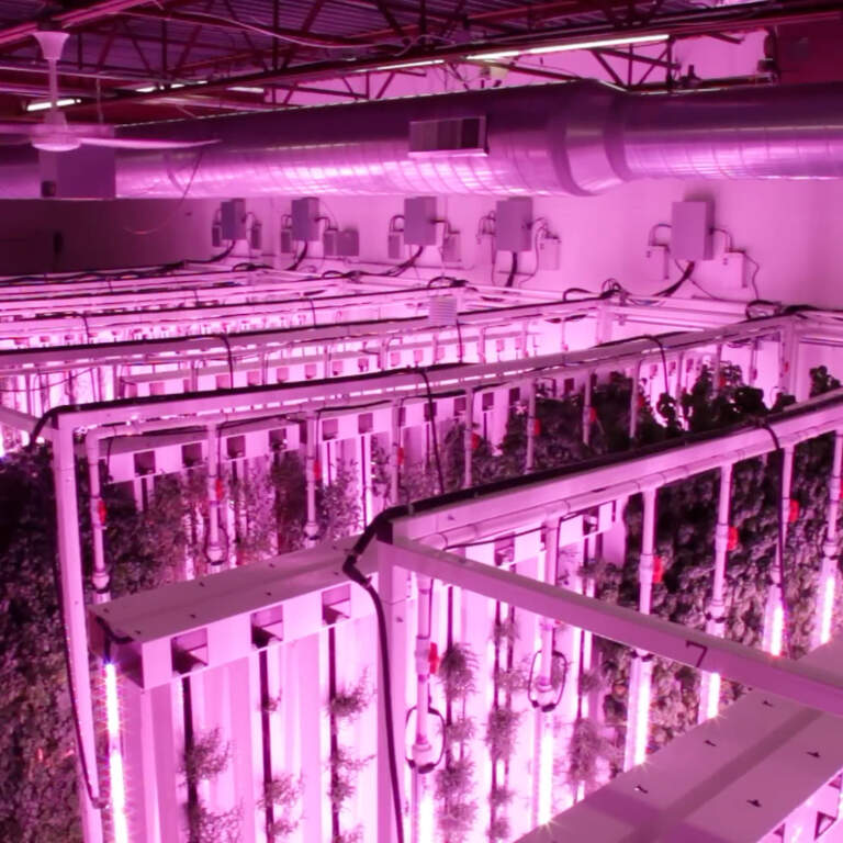 Year-Round Food Planning: How Indoor Growing Supports Emergency Resilience Poster