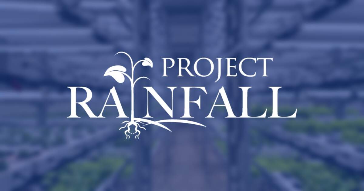 Project Rainfall